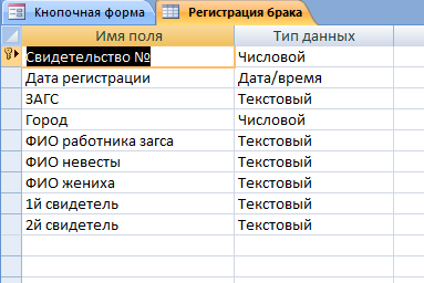 Скачать базу данных (БД) «Регистрация брака и новорожденных» MS Access