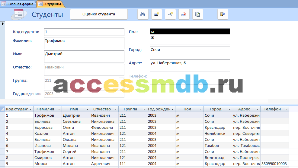 Форма Студенты. Скачать базу данных access Учёт успеваемости студентов ВУЗа (кафедры)