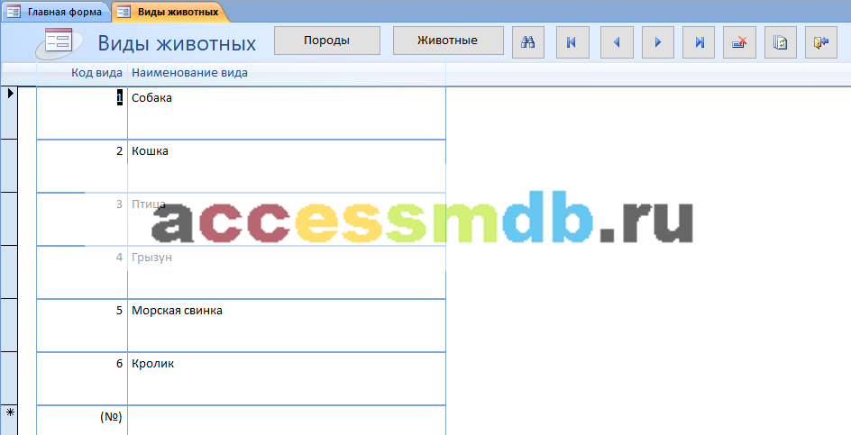 Форма Виды животных в базе данных Ветеринарная клиника.
