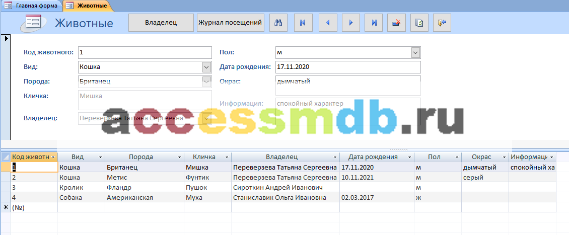 Форма Животные в готовой базе данных access Ветеринарная клиника