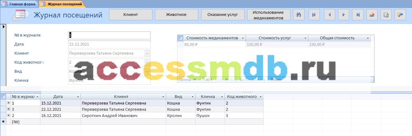 Скачать базу данных access Ветеринарная клиника. Форма Журнал посещений