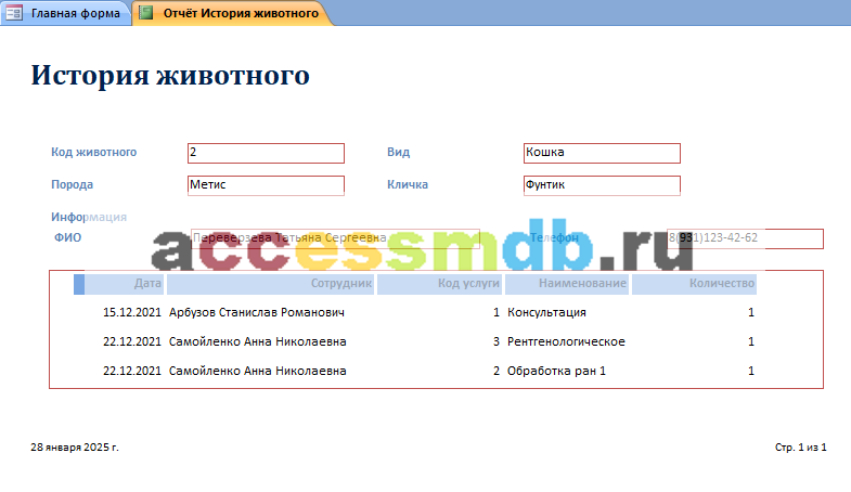 Скачать базу данных access Ветеринарная клиника. История лечения животного. Отчёт