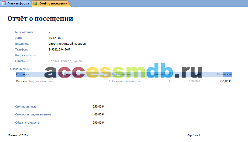 Скачать базу данных access Ветеринарная клиника. Отчёт о посещении
