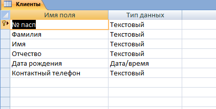 Скачать базу данных Access «Продажа авиабилетов». Таблица "Клиенты"